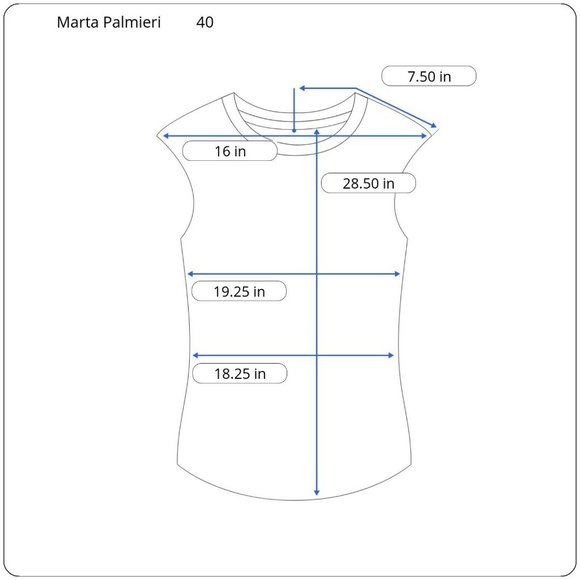 New Marta Palmieri Women Size 40 Sheer Chiffon Sky Blue Sleeveless Ruffle Blouse - Picture 3 of 10